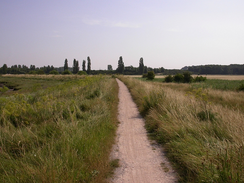 The Saxon Shore Way Path.JPG